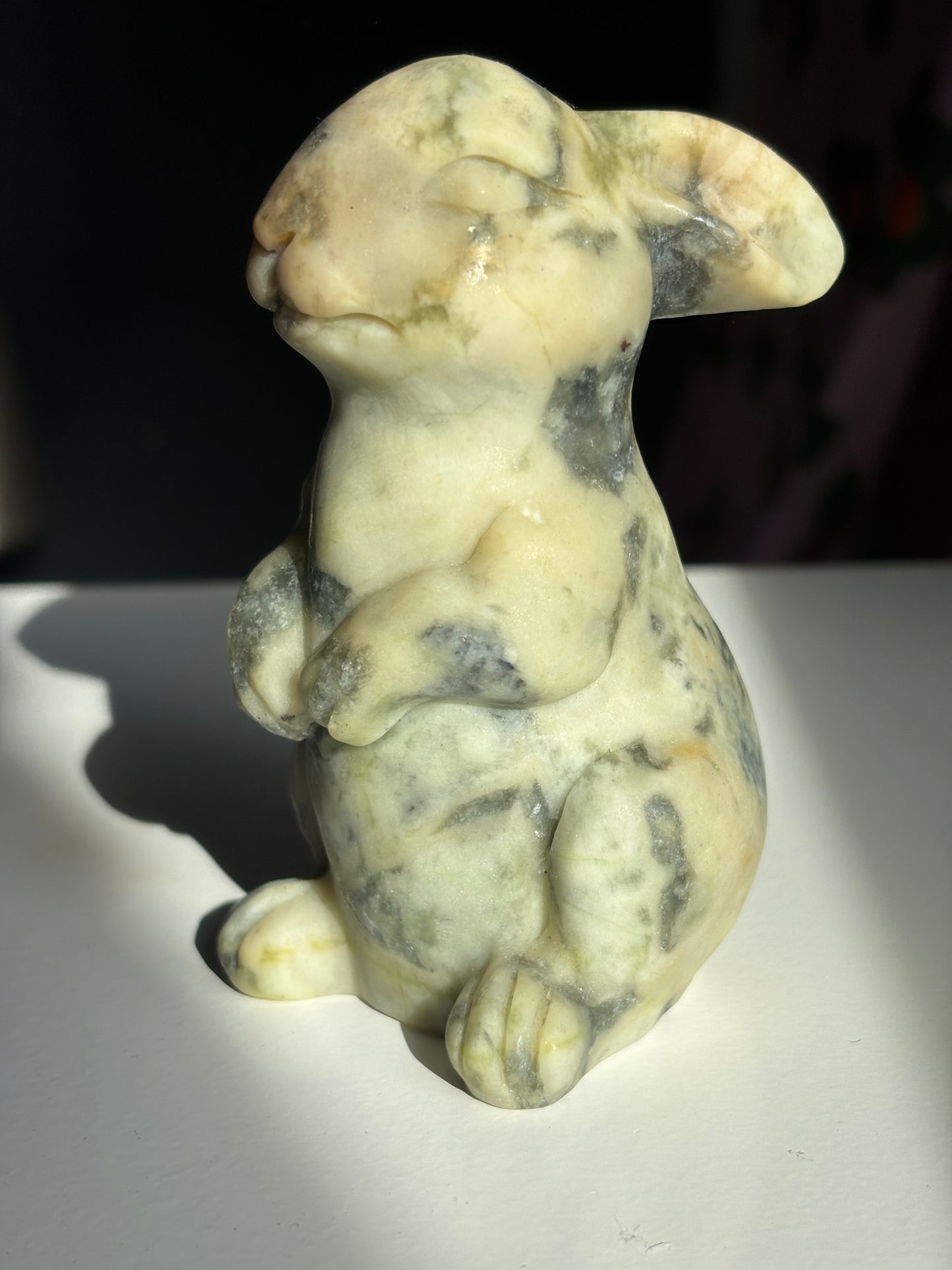 Serpentine Bunny