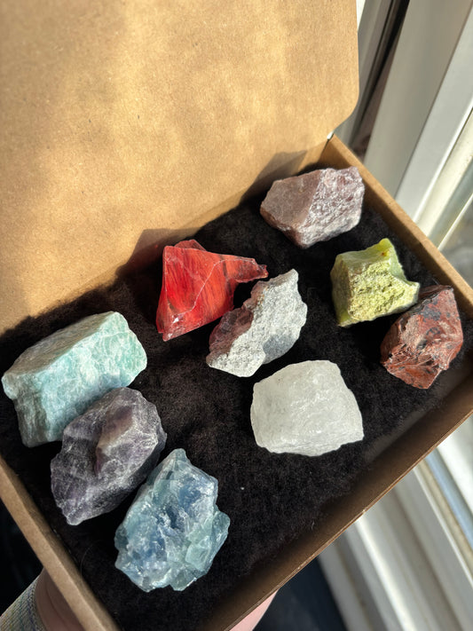 Raw Crystals Discovery Set - 9 Gemstones
