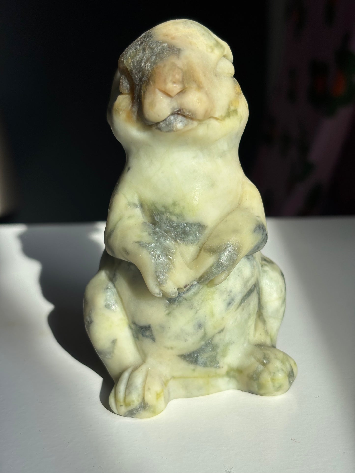 Serpentine Bunny