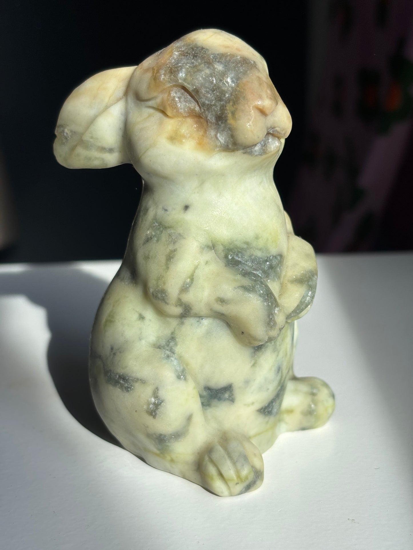 Serpentine Bunny