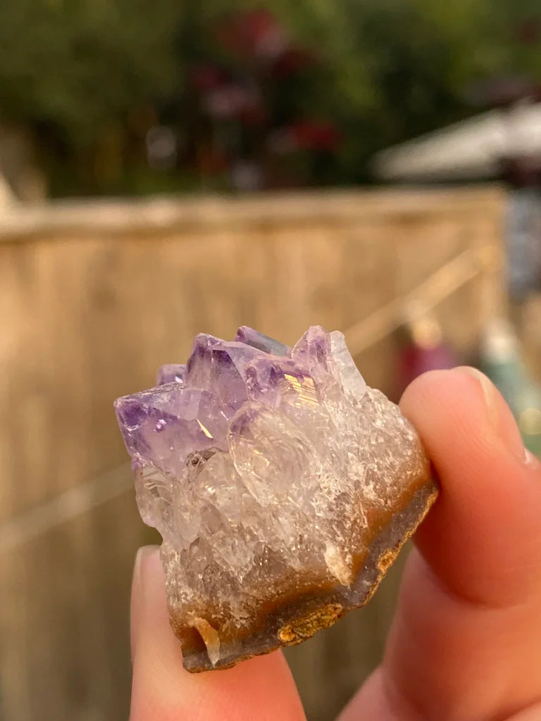 Amethyst Mini Cluster